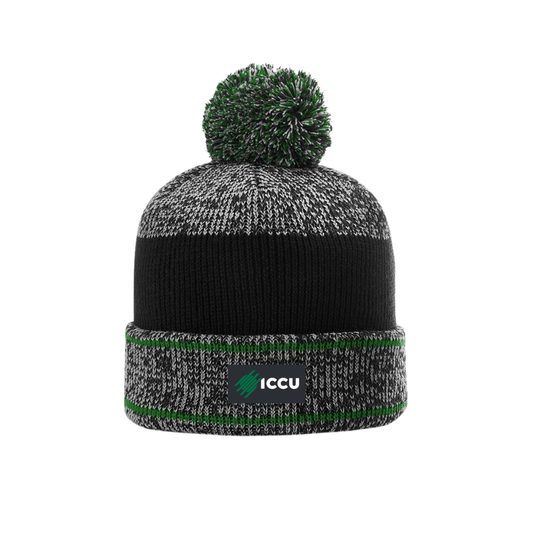 Richardson Pom Beanie